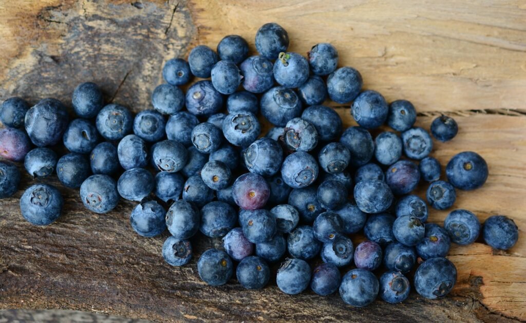 Hydroponic Blueberries