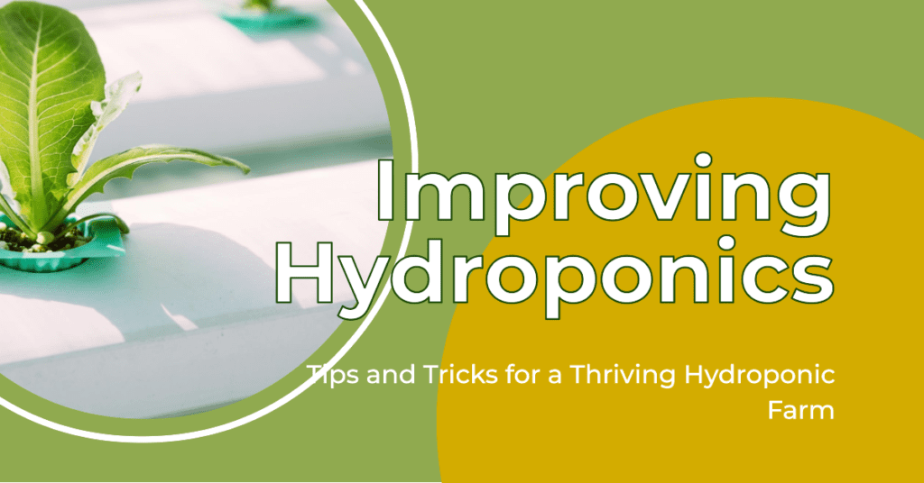How To Improve Hydroponics
